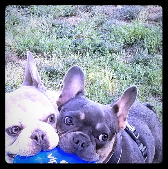 Meet your Posher, Anielka - Picture 1 of 1